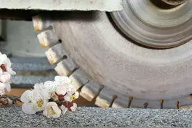 临沭县的石材资源：芝麻黑-临沭青石材图片