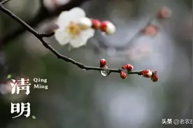 清明节上坟可能要“泡汤”，上坟期间四点注意事项，你知道吗？图片