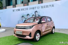 售2.98万起，最大续航300km，新款雷丁芒果正式上市图片