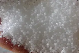 大颗粒尿素和小颗粒尿素有什么区别？听农业专家一讲，长知识了图片