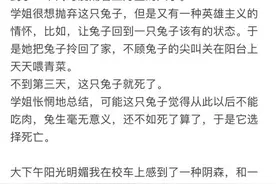 关于兔子的一些知识，细想之下竟然觉得有那么一点吓人…图片