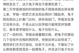 关于兔子的一些知识，细想之下竟然觉得有那么一点吓人…图片