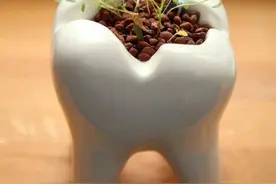97％的成年人患有牙结石！超声波牙刷能缓解牙结石吗？图片