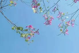 女人如此说话的时候，其实已经在暗示你，她对你有好感图片