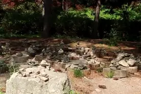 「北纬37度」春之花——韩国首尔图片