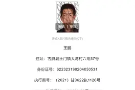 纳入失信黑名单并限制高消费图片
