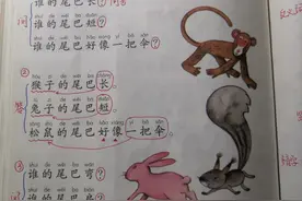 一年级语文上册《比尾巴》笔记搬运图片
