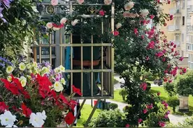 我爱养花，已是走火入魔的境界图片