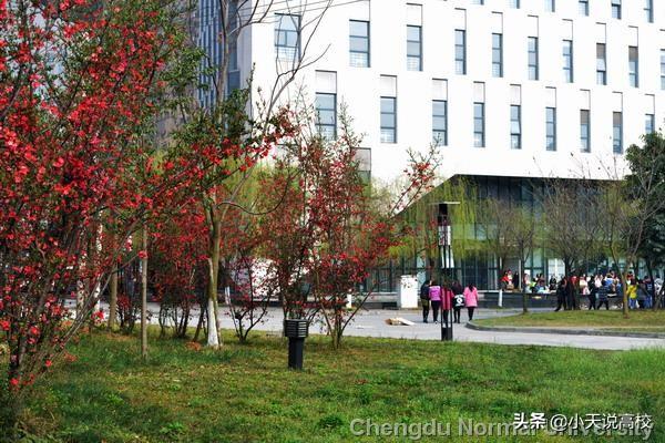 你信么？成都师范学院否认“歧视专升本生”：对所有学生一视同仁
