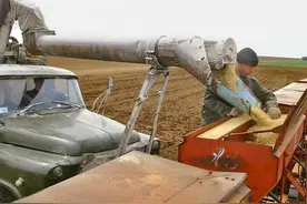 多国暂停对中国大豆出口，大豆涨价怎么办？俄罗斯：别怕，我来了图片