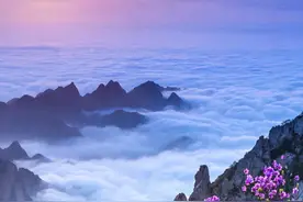 春游河北  |  这份花海地图 藏着春天最美的样子图片