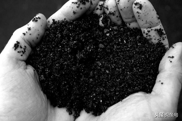 种植户注意，氨基酸肥不等于腐植酸肥，二者差距不小，不要弄混