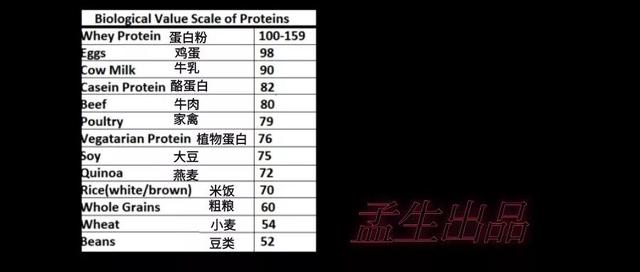 超级干货——一分钟带你了解蛋白质