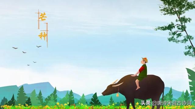 芒种时节，赏析宋代陆游的《时雨》