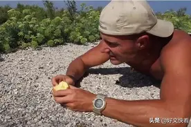 男子沙漠中吃完苹果，顺手丢了一半在地上，竟引来意外收获图片