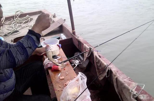 火腿肠也能钓鱼吗？用白酒、红糖、氨基酸水泡制后，有效果