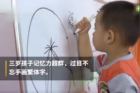 3岁男孩过目不忘，看一遍就会，网友酸成柠檬精：他握笔姿势不对图片