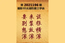 3D第2021196期图片