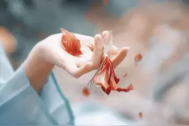 「诗词鉴赏」想一个人，念一首诗，如一段岁月图片