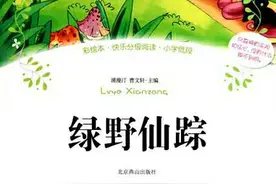 《绿野仙踪》为何经久不衰？从靶心人公式解析这篇童话的7个要素图片