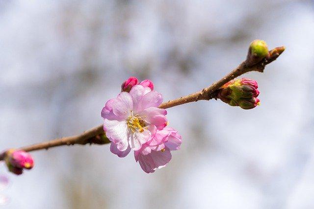 嗲嗲的解释（边看边聊闲话嗲）