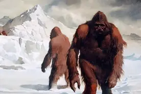 喜马拉雅四大密码 20种野生动物、野人传说、藏獒、冻土塔黄图片