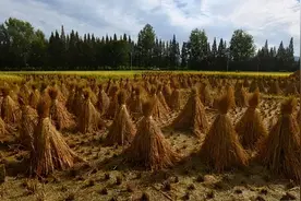 珠海一家人刚建好一座新房子，但新居落成不久，父亲却因这事离开人世！图片