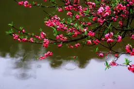 “立春三日晴，黄牛贵似金”，立春后还会冷吗？一般还要冷多久？图片