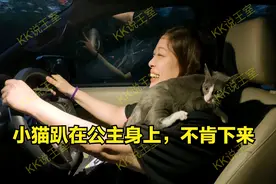 泰国小公主收养小猫；小猫趴在公主肩膀上不肯下来，要享福了图片