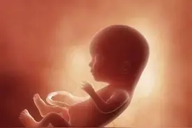 为什么超声医生不告诉你是女宝宝还是男宝宝图片