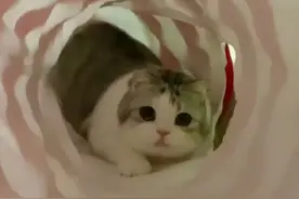 情侣专用表情包：撩女朋友撩男朋友表情包图片