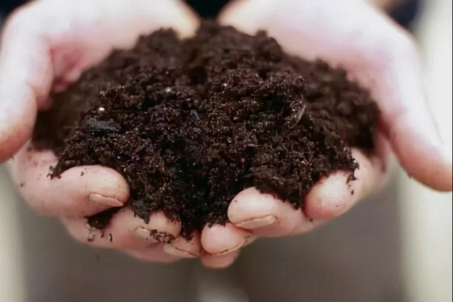 71、有机肥的有效性和速效性都很高，有机肥≠迟效肥