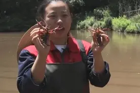 17岁就是全省唯一女农机手，如今更是了不得......图片