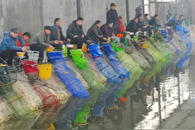 钓鱼打龟，不得不报警求助，这到底是一场闹剧还是另有苦衷图片