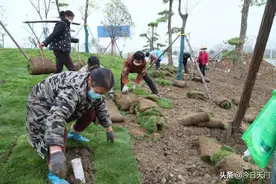 湖北天门：张家湖国家湿地公园建得怎么样了？了解一下~图片
