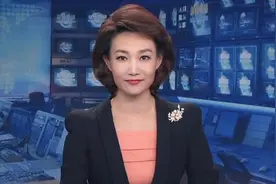 央视主播李梓萌，43岁仍旧单身，只因形象太严肃？图片