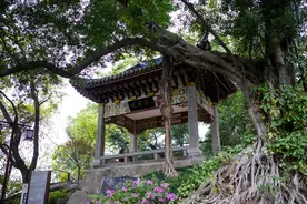 50米海拔的九仙山，福州市中心的文化名山，可不仅是相亲角图片