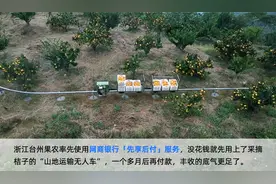 央视报道网商银行金融新服务 台州农机商家成「先享后付」首批使用者图片
