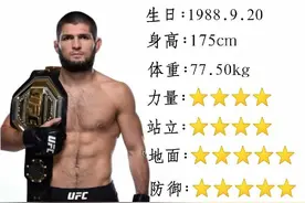 UFC轻量级冠军数据图片