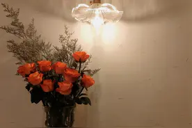 《鼠疫》，经典语录图片