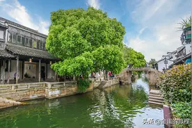 苏州吴江有七大古镇，虽然同里名气大，但附近黎里古镇更值得推荐图片