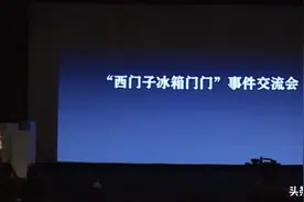 特斯拉“刹车”事件解决建议：参考罗永浩西门子冰箱事件图片