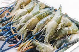 鲜美河虾竟检出违禁兽药！公益诉讼亮剑食用农产品安全图片