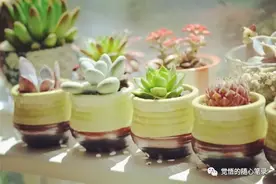 充实的生活真好图片