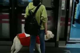地铁上让座，为啥子网友还叫他“憨憨”图片