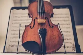 适合孩子学习的八大乐器分析_知遇微校图片