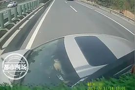 大货车高速上任性变道，小车被拦腰推行，场面惊险图片