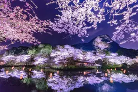 日本为何独爱樱花？从樱花与武士道看日本的审美倾向：消亡美图片