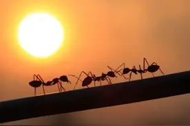 找对象，公婆年轻很重要图片