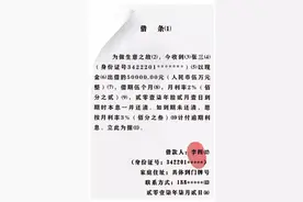 2020法院版：借条、欠条、收条（范本）图片